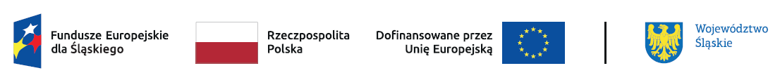 Flag Polski Flaga Uni Europejskiej