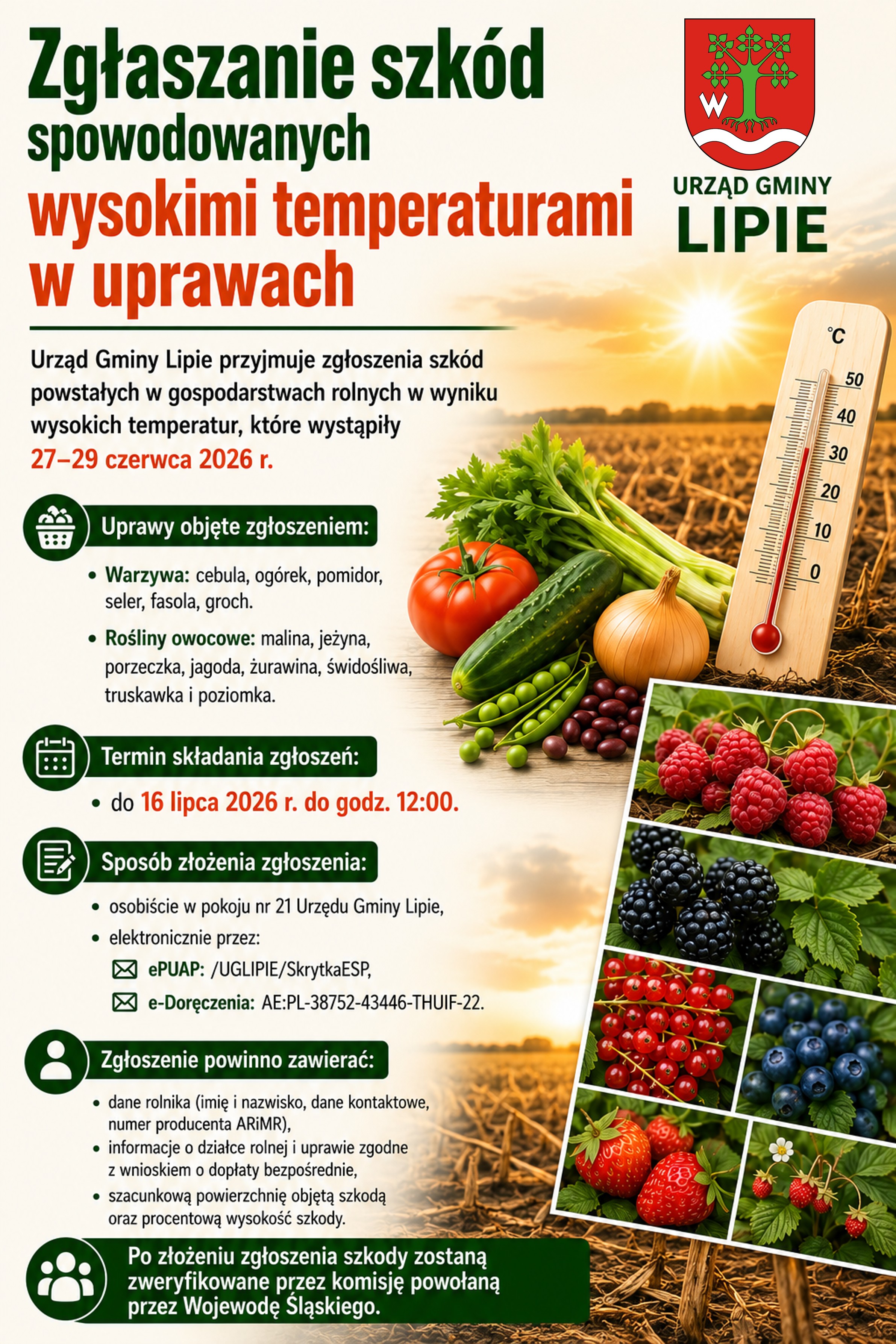 Zgłaszanie szkód spowodowanych wysokimi temperaturami w uprawach
