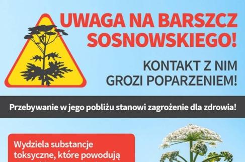 Ulotka informacyjna - Barszcz Sosnowskiego